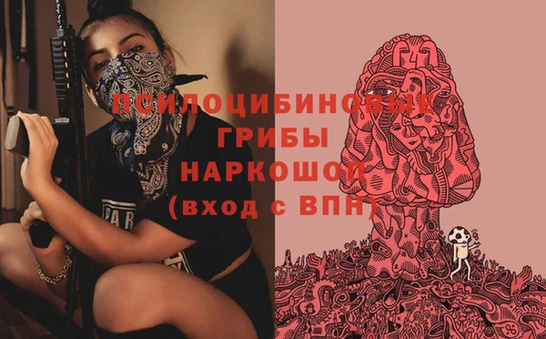 мяу мяу мука Кукмор