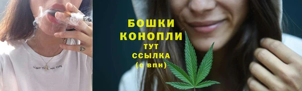 стафф Лабытнанги