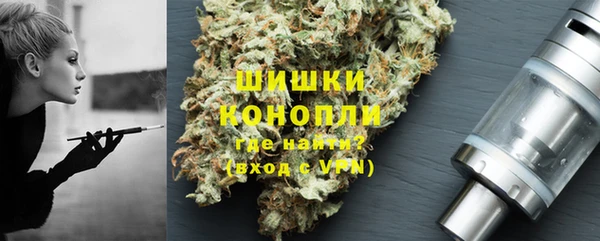 дмт Ладушкин