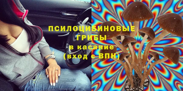 Альфа ПВП Бутурлиновка