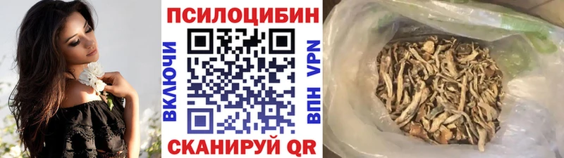 гидра как зайти  Луга  Галлюциногенные грибы прущие грибы  наркошоп 