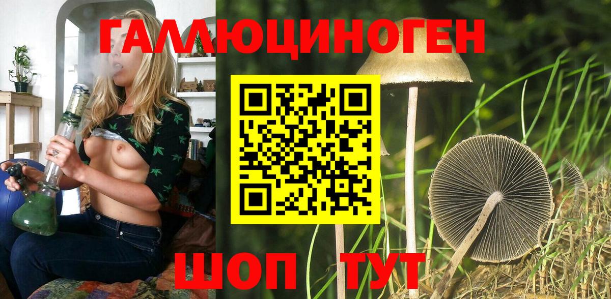 Псилоцибиновые грибы Psilocybe Луга