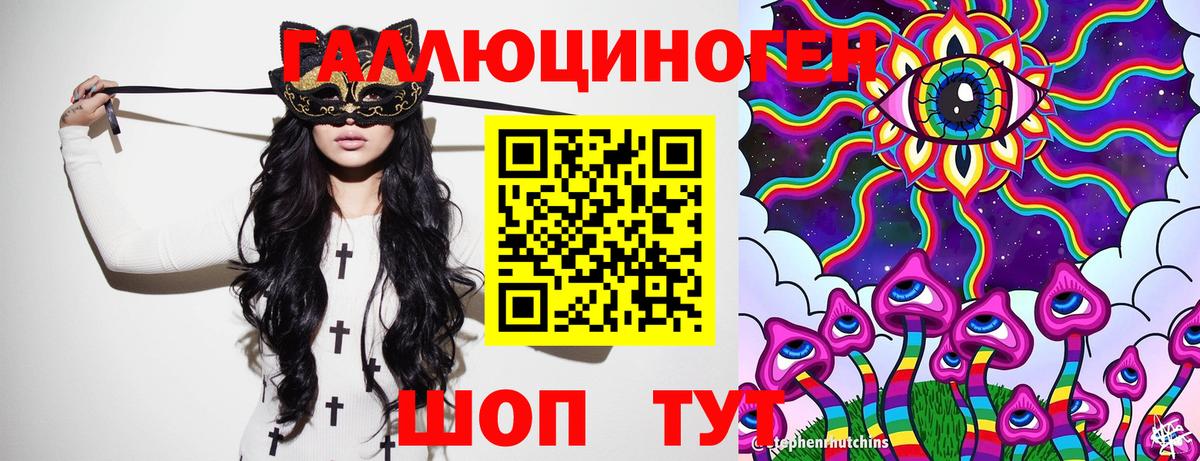 Луга  Псилоцибиновые грибы Psilocybine cubensis  Галлюциногенные грибы Psilocybe  Вход с VPN 